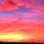 Sandy Caldwell Rhew's profile image