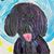 David Machado's profile image