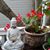 Barbara Crump's profile image