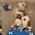Madelain Paulino Victorio's profile image