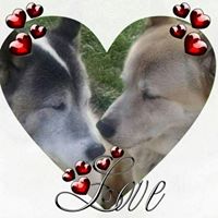 Donna Rice's profile image