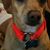 Pamela Hodgkins's profile image
