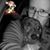 Faye L Moser's profile image