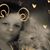 Kathy Veihl Landefeld's profile image