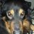 Kimmy Stoffer's profile image