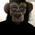 Craig Alan Astley's profile image