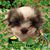Jo Cothran's profile image