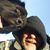 Mike Patterson's profile image