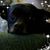 Donna Walker's profile image