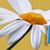 Jane Parsons's profile image