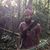 Hugo Frank Putnal's profile image