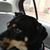 Carrie Ann Nordby's profile image