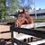Tina Swanson's profile image
