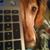 Heather Busching's profile image