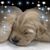 Susan Willoughby's profile image