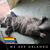 Susanne Johnson's profile image