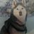 Matt Stevens's profile image