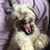 Michele Hitsman's profile image