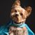 Tina Lakey's profile image