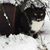 Jennifer Santora - Jervasi's profile image