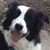 Vee Kreitz's profile image