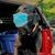 Jesse Camerato's profile image