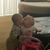 Tina Reid Forsyth's profile image