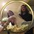 Karen McNulty's profile image