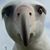Adam Lee's profile image