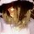Cherish Tinkle Mason's profile image