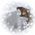 Kim M. Crabb's profile image
