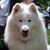 Vicki Littauer's profile image