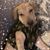 Lori Juffre Murphy's profile image