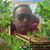 Josue Lombera's profile image