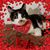 Nicki Kyker Roesslein's profile image