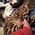 Donna M Burgess's profile image