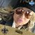 Megan Williams RN's profile image