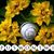 Kim Longstreet's profile image