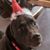 Karen Roehm Taylor's profile image