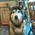 Nicole Hoover's profile image