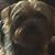 Felicity Ancell's profile image