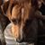 Chris Wetmore's profile image