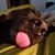 Amanda Phillips's profile image