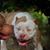 Brett Porras's profile image