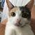 Debbie Morra's profile image