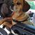 Lee Ann Franco Jennett's profile image