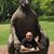 Frank Loconsole's profile image