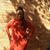 Denise Bond Meggett's profile image