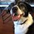 Terri Michel's profile image