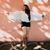 Payge Stevens's profile image